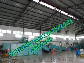 高效脫水黃瓜生產線及黃瓜片脫水烘干工藝解析