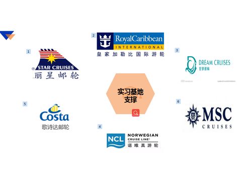 探索涉外職業(yè)教育新路徑》，旅游外語學(xué)院躋身河南省“郵輪登務(wù)才能等級培訓(xùn)認(rèn)證新方